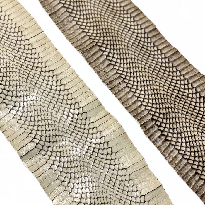 Exotic Full Cobra Snake Skin With Head