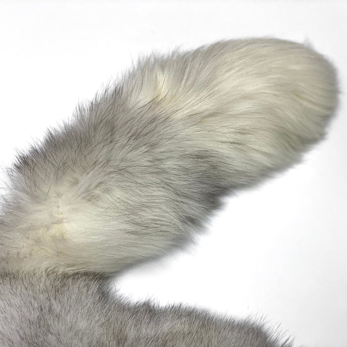 Premium Blue Fox Pelt - Beautiful Fox Fur