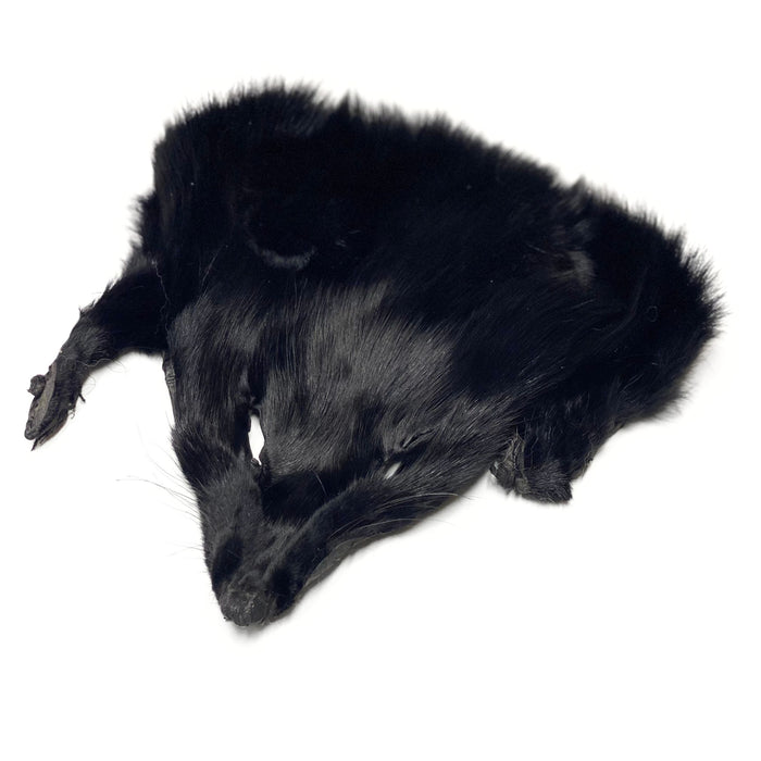 Authentic Black Fox Face - Genuine Fur Animal Face for Crafts and Costumes