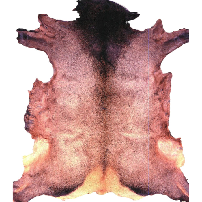 Trophy Elk Hair On Leather Hide