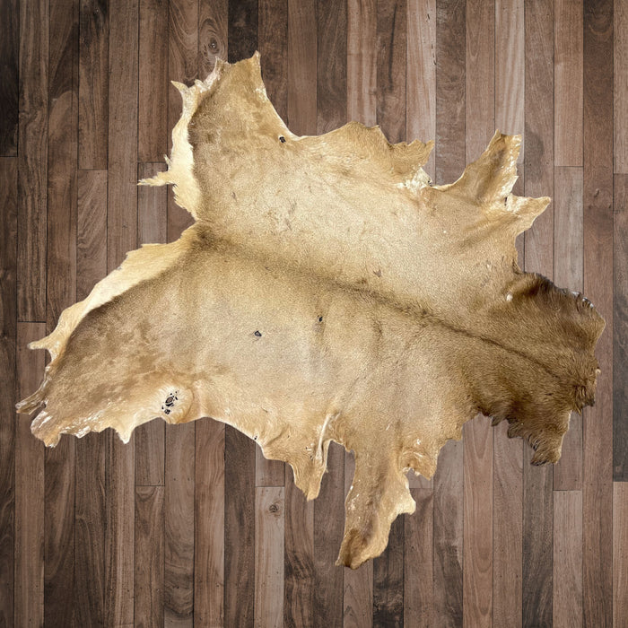 Trophy Elk Hair On Leather Hide