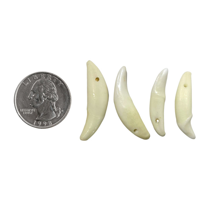 Replica Canine Teeth Bead Accent Accessory 10 Pack