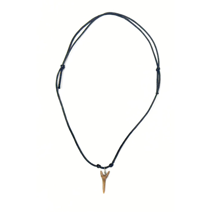 Genuine Shark Tooth Necklaces - 12 Pack (1 Dozen)