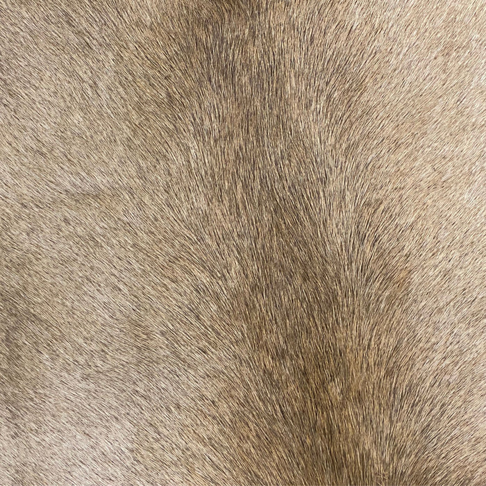 Trophy Elk Hair On Leather Hide