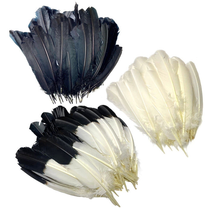 Imitation Eagle Quills - Black & White Long Feathers for Decorations & Ceremonies