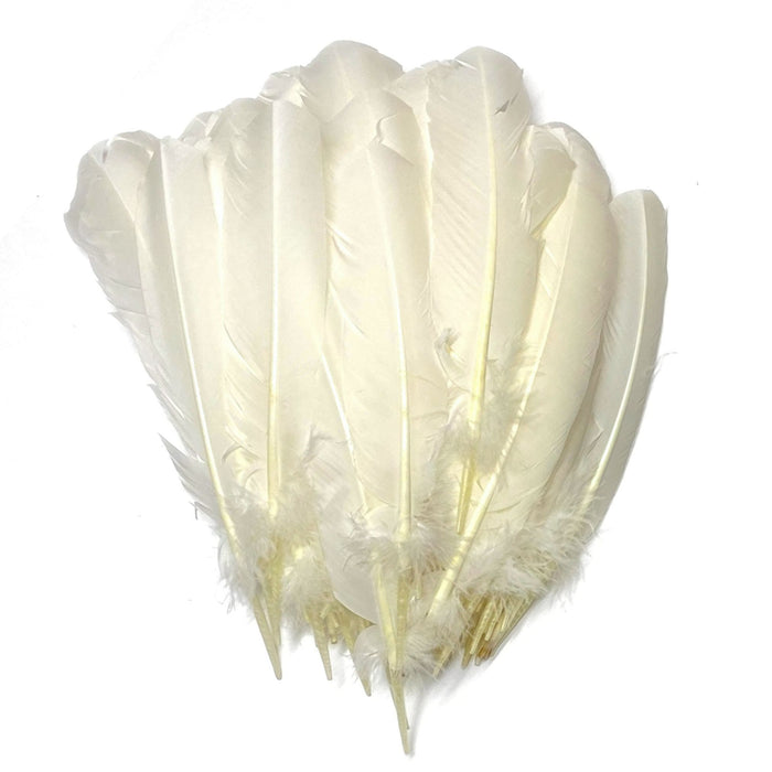 Imitation Eagle Quills - Black & White Long Feathers for Decorations & Ceremonies