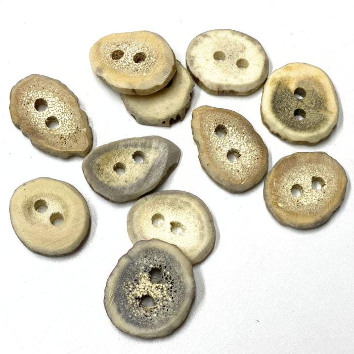 Antler Buttons for Crafts - 12 pack