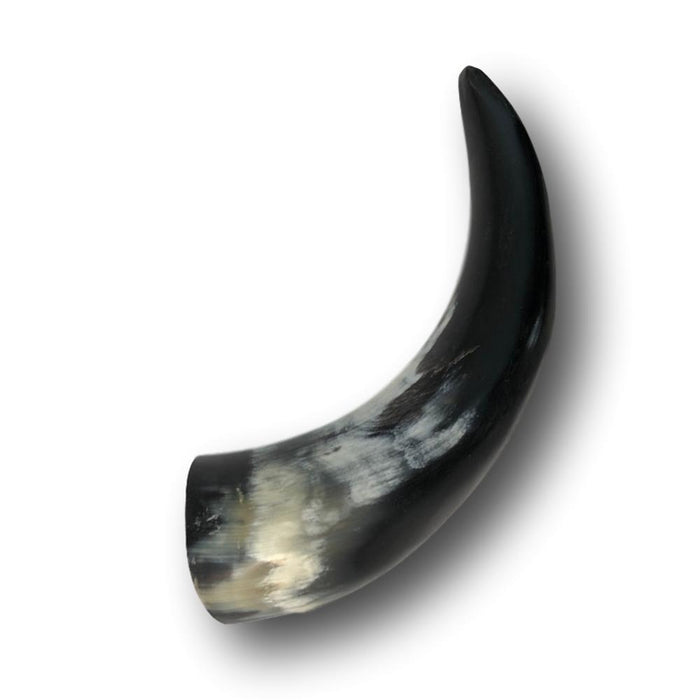 Genuine Water Buffalo Horns - Natural or Polished