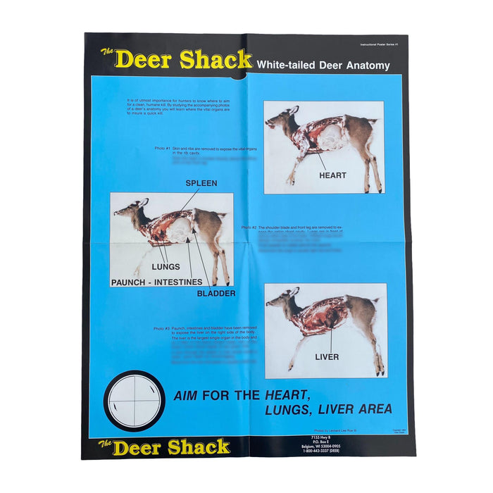 Whitetail Deer Instructional Posters - Set of 7 Educational Posters - Hunting Information Posters