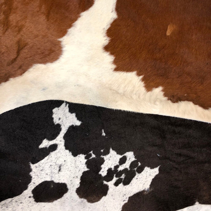 Large Hair on Hide Steer Leather Hides - Brown - Black - White - Brindle - A Grade - B Grade