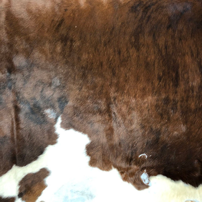 Large Hair on Hide Steer Leather Hides - Brown - Black - White - Brindle - A Grade - B Grade