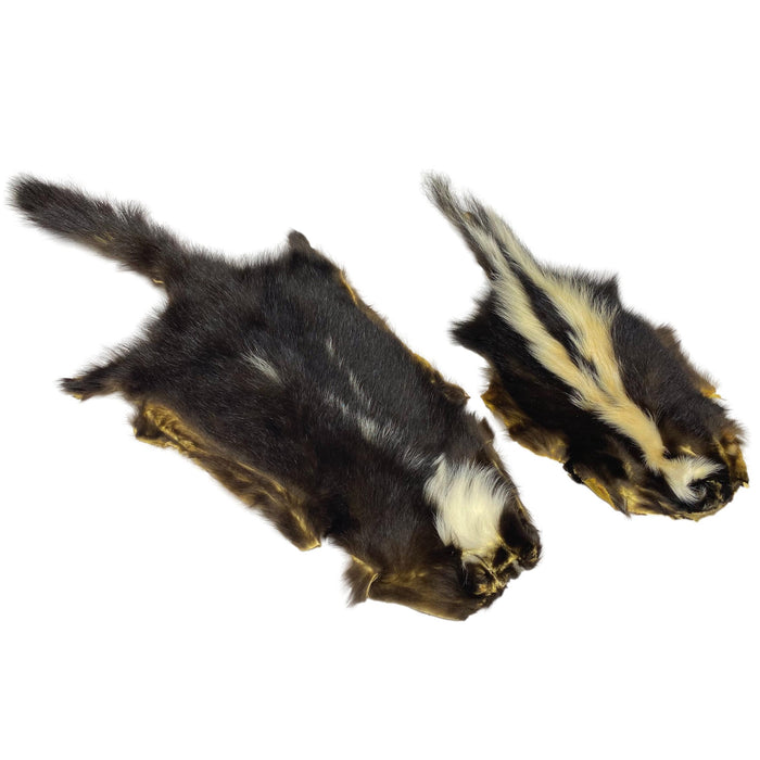 Authentic Skunk Skin - Pelt - Fur - Hide