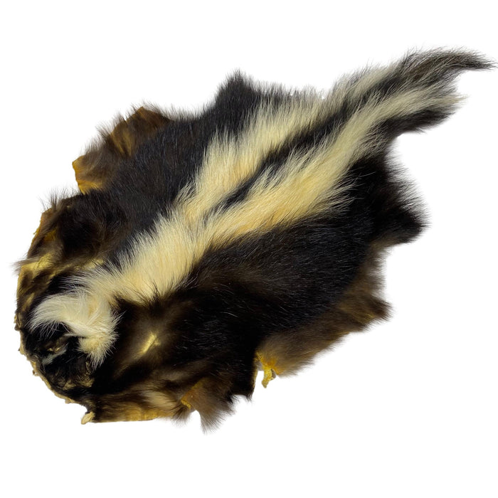 Authentic Skunk Skin - Pelt - Fur - Hide