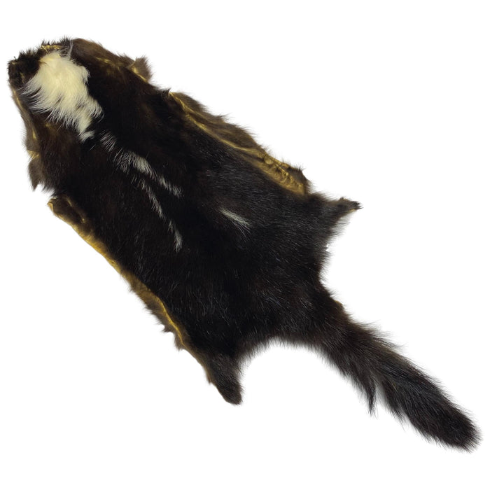 Authentic Skunk Skin - Pelt - Fur - Hide
