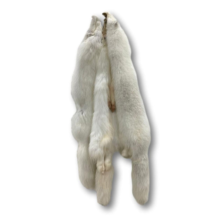 Beautifully Tanned Artic Fox Pelt - Pure White Fur Hide