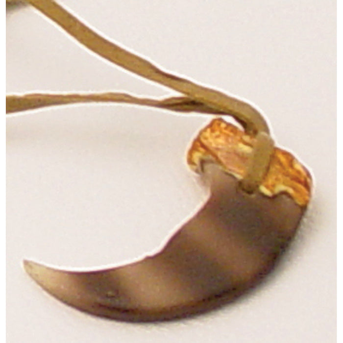 Bear Claw Necklace - 3" - 1.5"