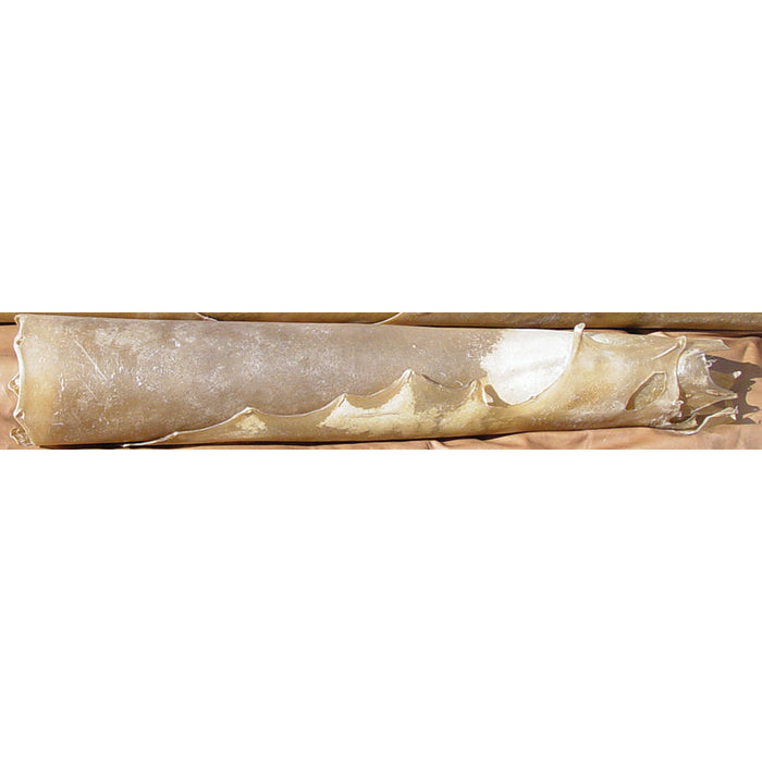 Cow Rawhide Large 5 to 6 oz Hide