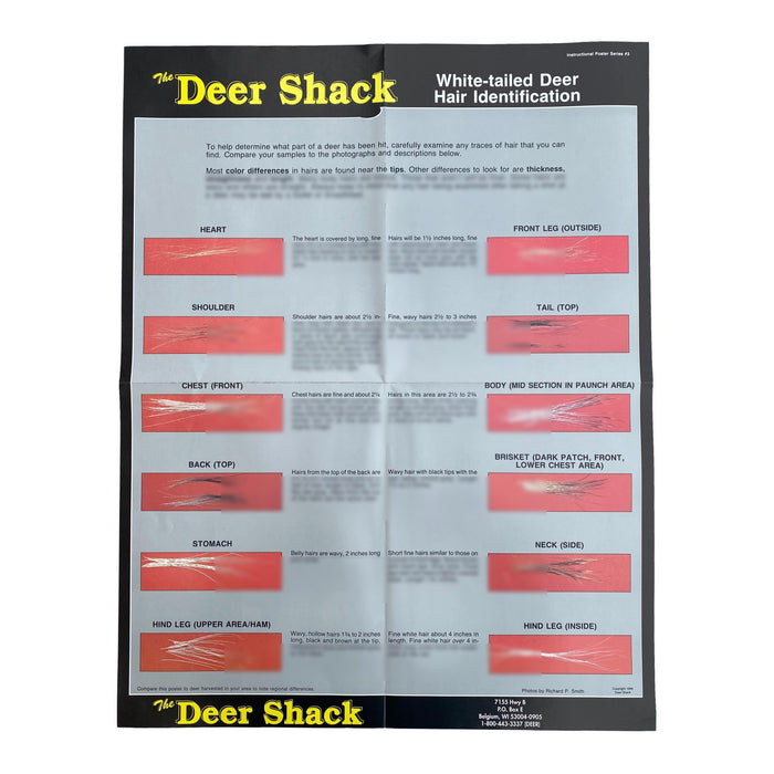 Whitetail Deer Instructional Posters - Set of 7 Educational Posters - Hunting Information Posters
