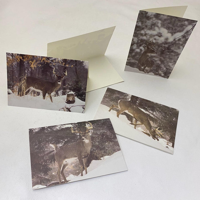 Deer Hunter Greeting Cards - Whitetail Deer Stationary Note Cards - 4 Winter Scenes