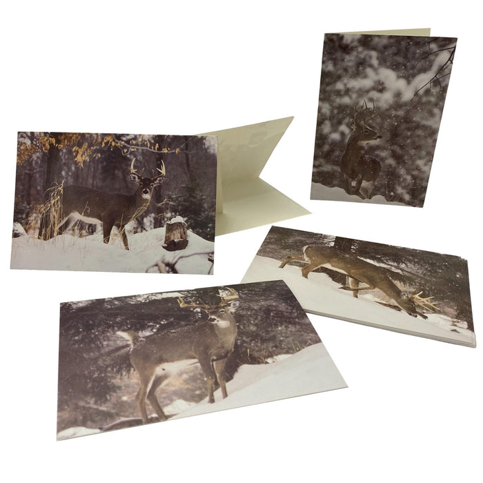 Deer Hunter Greeting Cards - Whitetail Deer Stationary Note Cards - 4 Winter Scenes