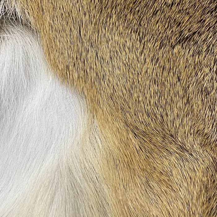 Hair On Deerskin Hide Rug - Tanned Deer Hide with Hair - Grade A - Grade B - Grade C - Large - Extra Large