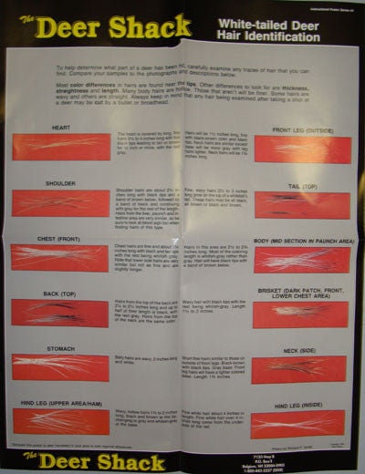 Deer Hair Identification Hunting Information Poster