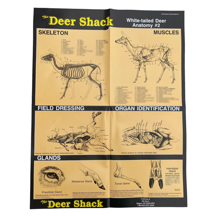 Deer Anatomy #2 Hunting Information Poster