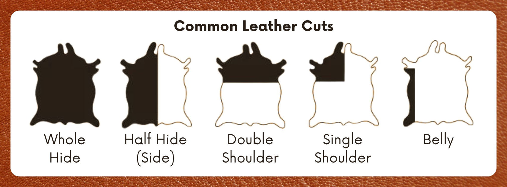 Leather Cut Types Example Understanding Leather Hide Cuts — Leather Unlimited