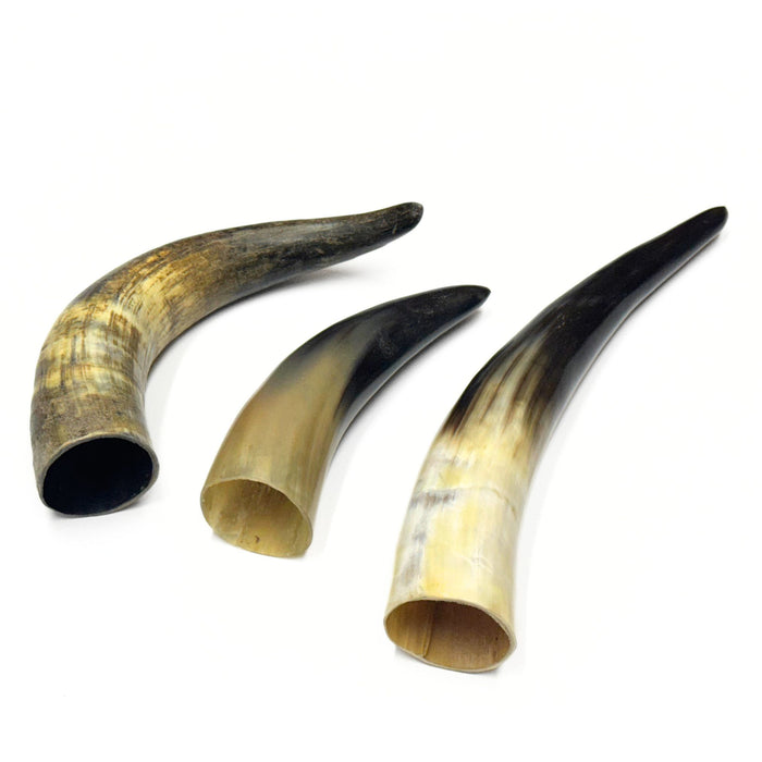 Genuine Water Buffalo Horns - Natural or Polished