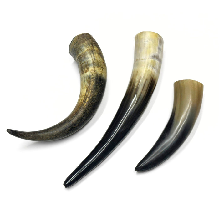 Genuine Water Buffalo Horns - Natural or Polished