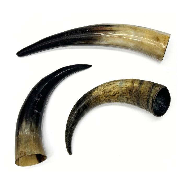 Genuine Water Buffalo Horns - Natural or Polished