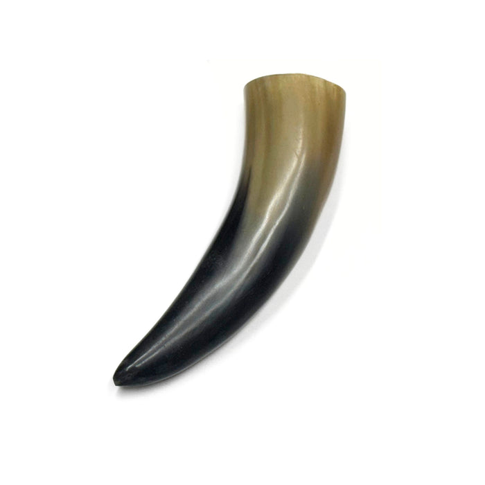 Genuine Water Buffalo Horns - Natural or Polished