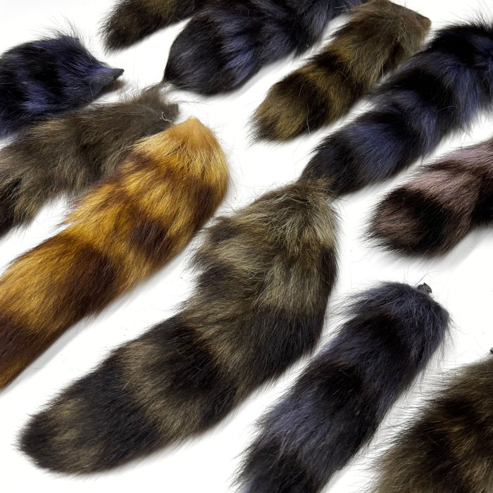 Authentic Raccoon Tail with Keychain - Genuine Fur Tails for Crafts and Costumes