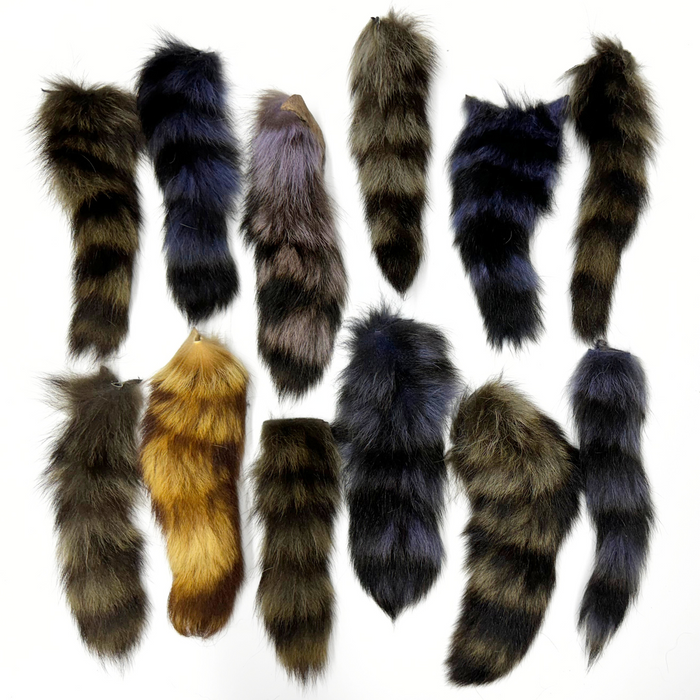 Authentic Raccoon Tail with Keychain - Genuine Fur Tails for Crafts and Costumes