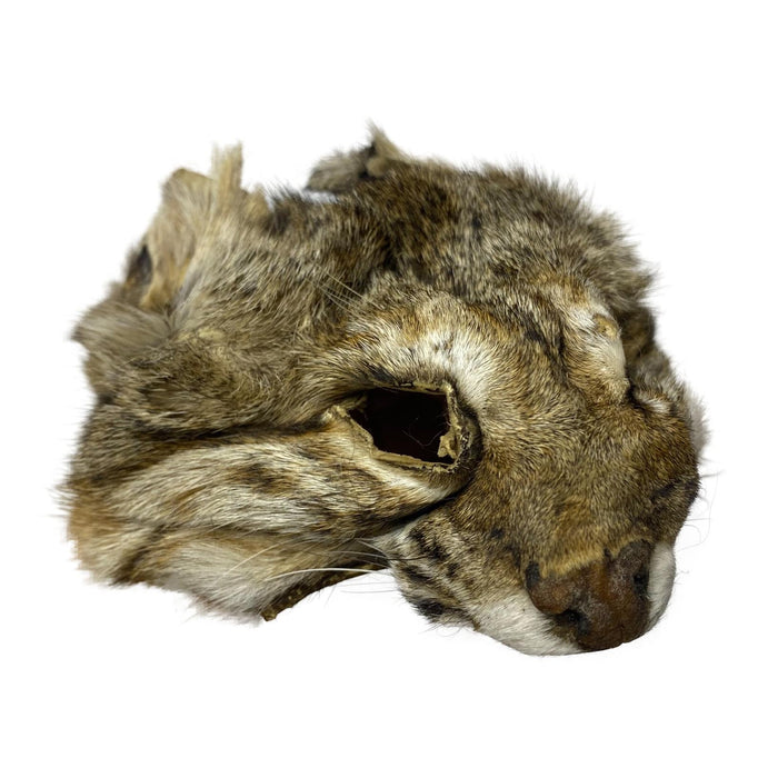 Authentic Lynx Face - Genuine Fur Animal Face for Crafts and Costumes