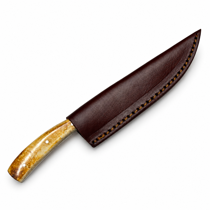 7.75" Burned Bone Trailing Point Hunting Knife – Full Tang Stainless Steel Blade with Leather Sheath