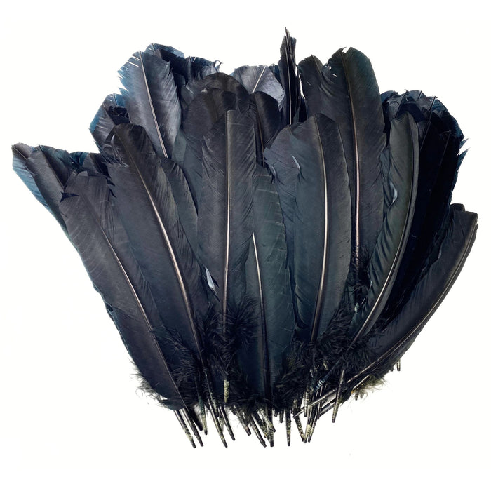 Imitation Eagle Quills - Black & White Long Feathers for Decorations & Ceremonies