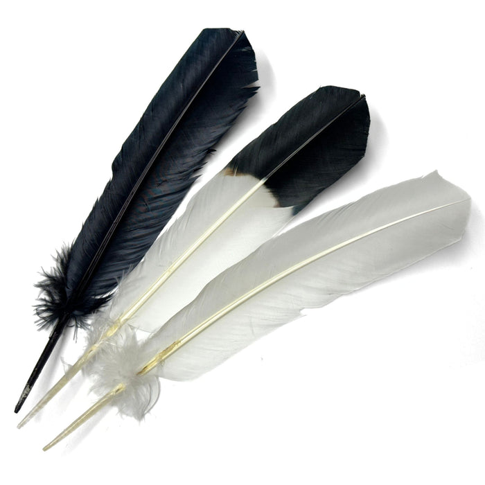 Imitation Eagle Quills - Black & White Long Feathers for Decorations & Ceremonies