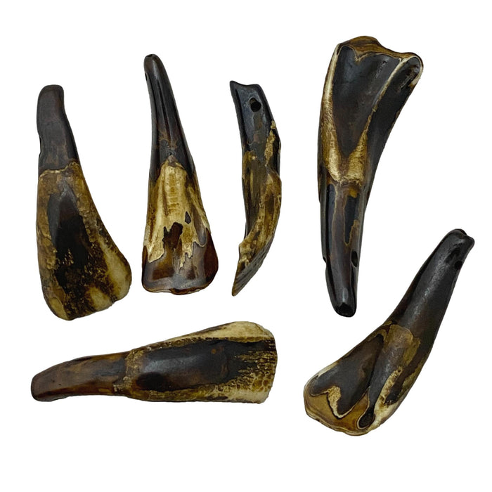 Replica Buffalo Teeth Bead Accent Accessory 10 Pack - Brown or White
