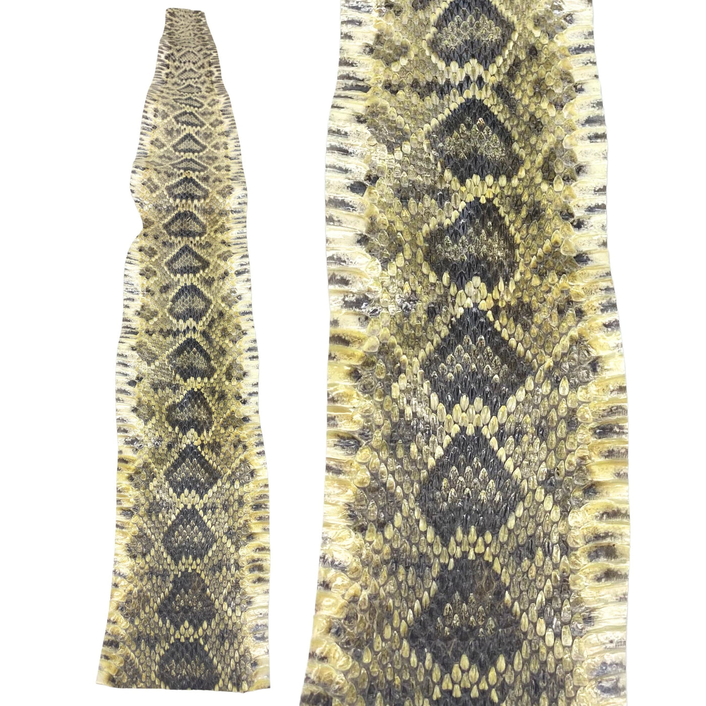 Eastern Rattlesnake Snake Skins - Diamondback Snakeskins — Leather ...