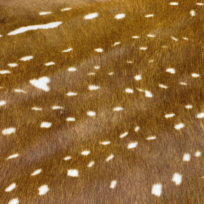Mini Cowhides - Baby Zoo Rugs - Zebra, Snow Tiger, or Axis Deer - Printed Cowhide Cutout