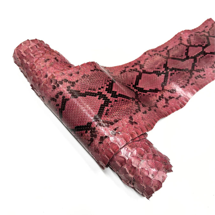 Large Exotic Python Snakeskin - Black & White - Green - Brown - Orange - Rose - Wine