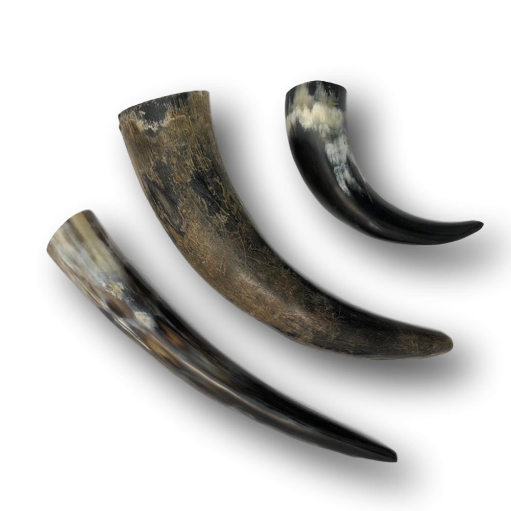 Genuine Water Buffalo Horns Natural or Polished Leather Unlimited
