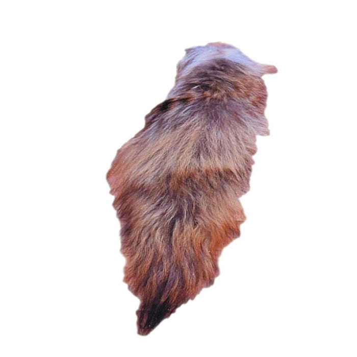 Authentic Coyote Tail - Genuine Fur Tail for Crafts and Costumes