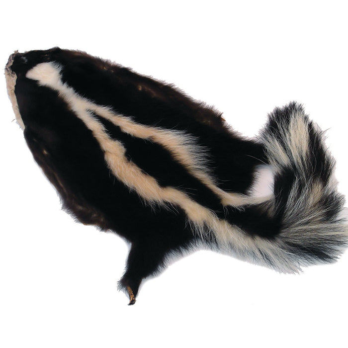 Authentic Skunk Skin - Pelt - Fur - Hide