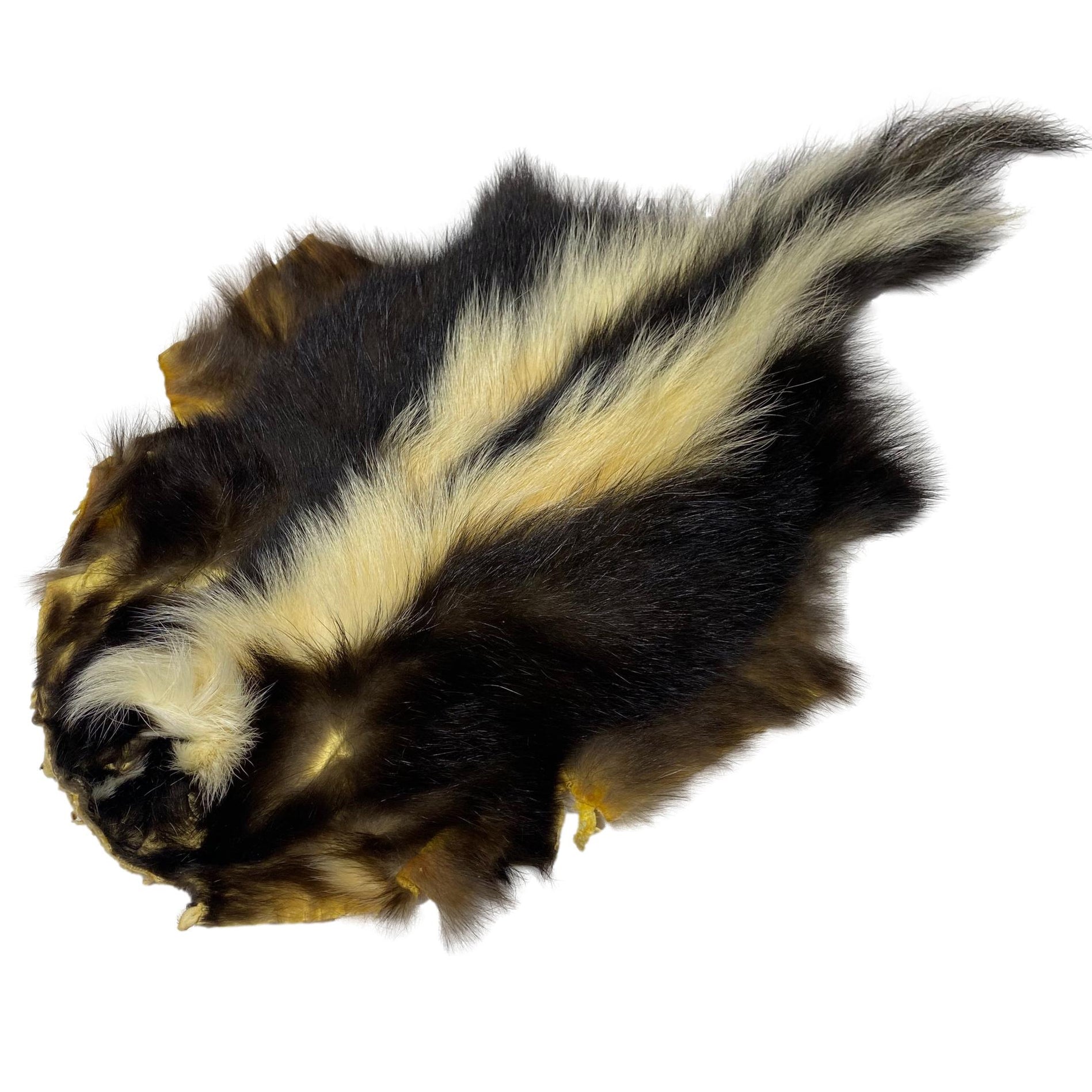 Authentic Skunk Skin - Pelt - Fur - Hide — Leather Unlimited