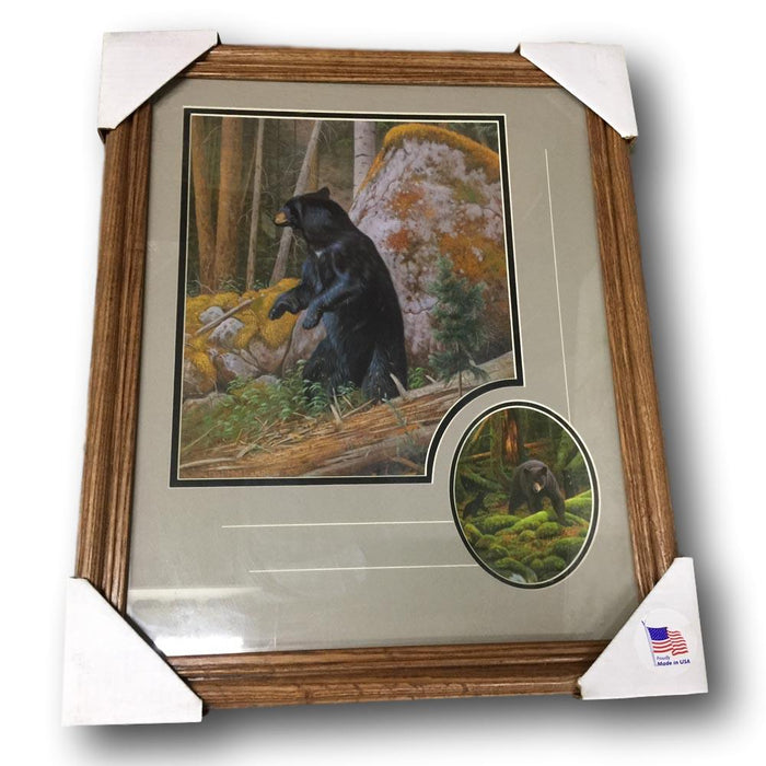 Classic Hunting Wildlife Framed Print - Bear with Close Up Accent