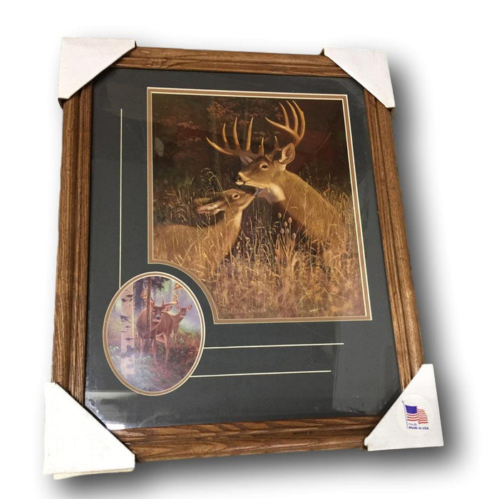 Classic Hunting Wildlife Framed Print - Morning Whitetail Deer with Close Up Accent