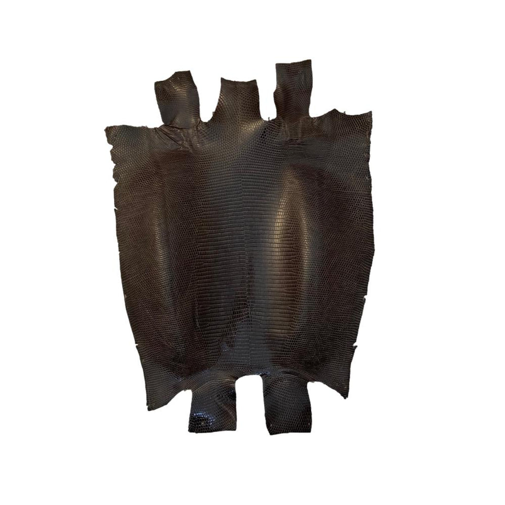 Ring Marked Lizard Skins — Leather Unlimited