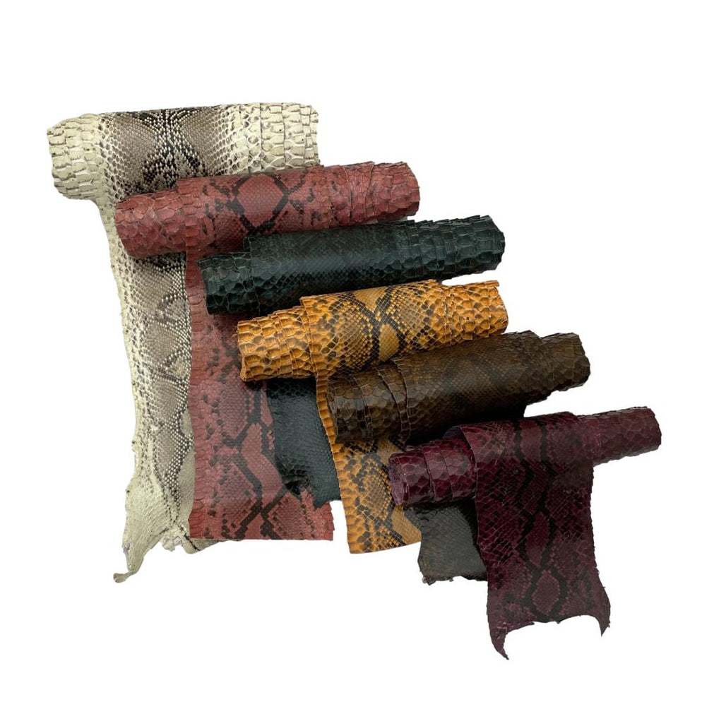 Large Exotic Python Snakeskin - Black & White - Green - Brown - Orange ...